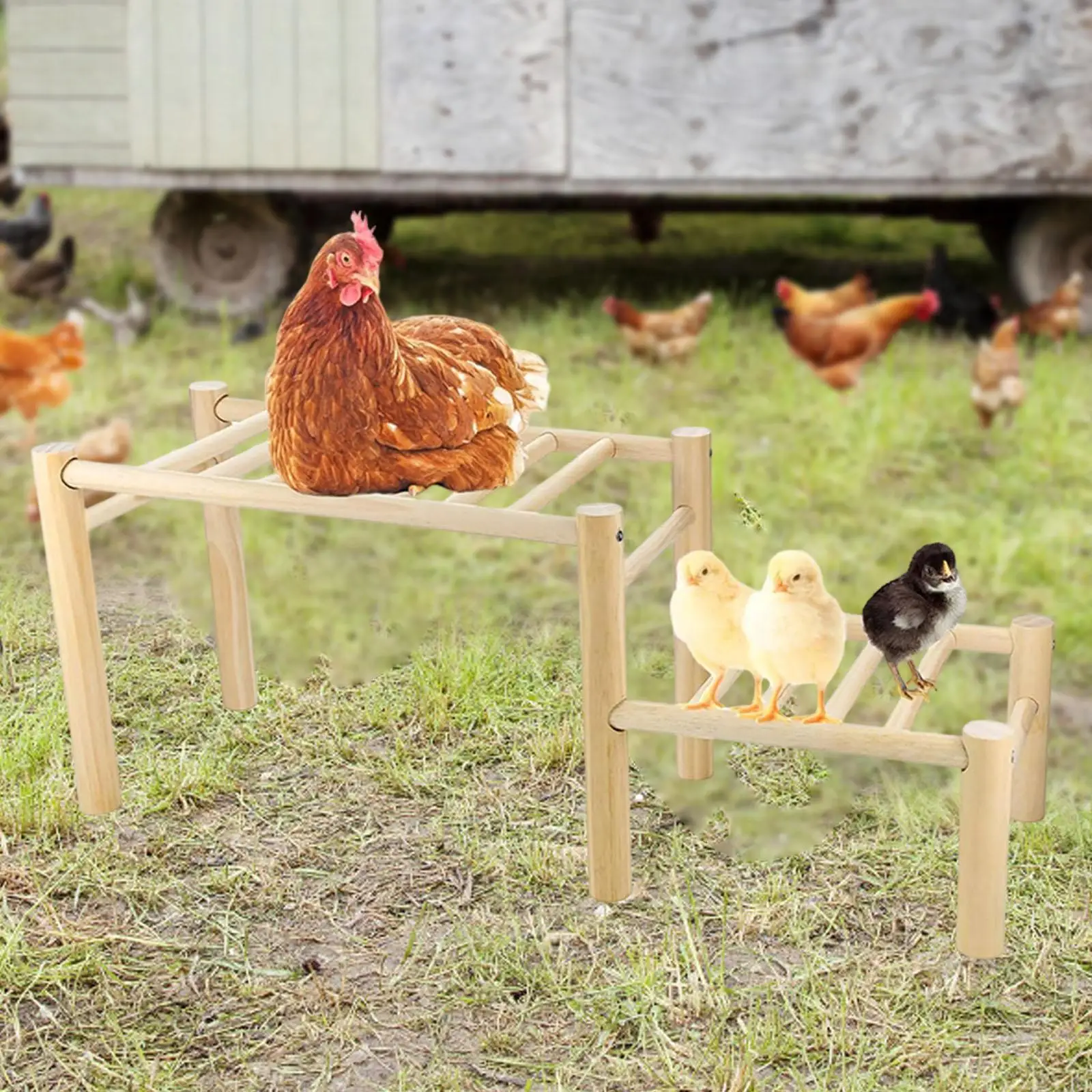 Escalera de madera para gallinero – Plataforma para gallinas y gallos - imagen 2