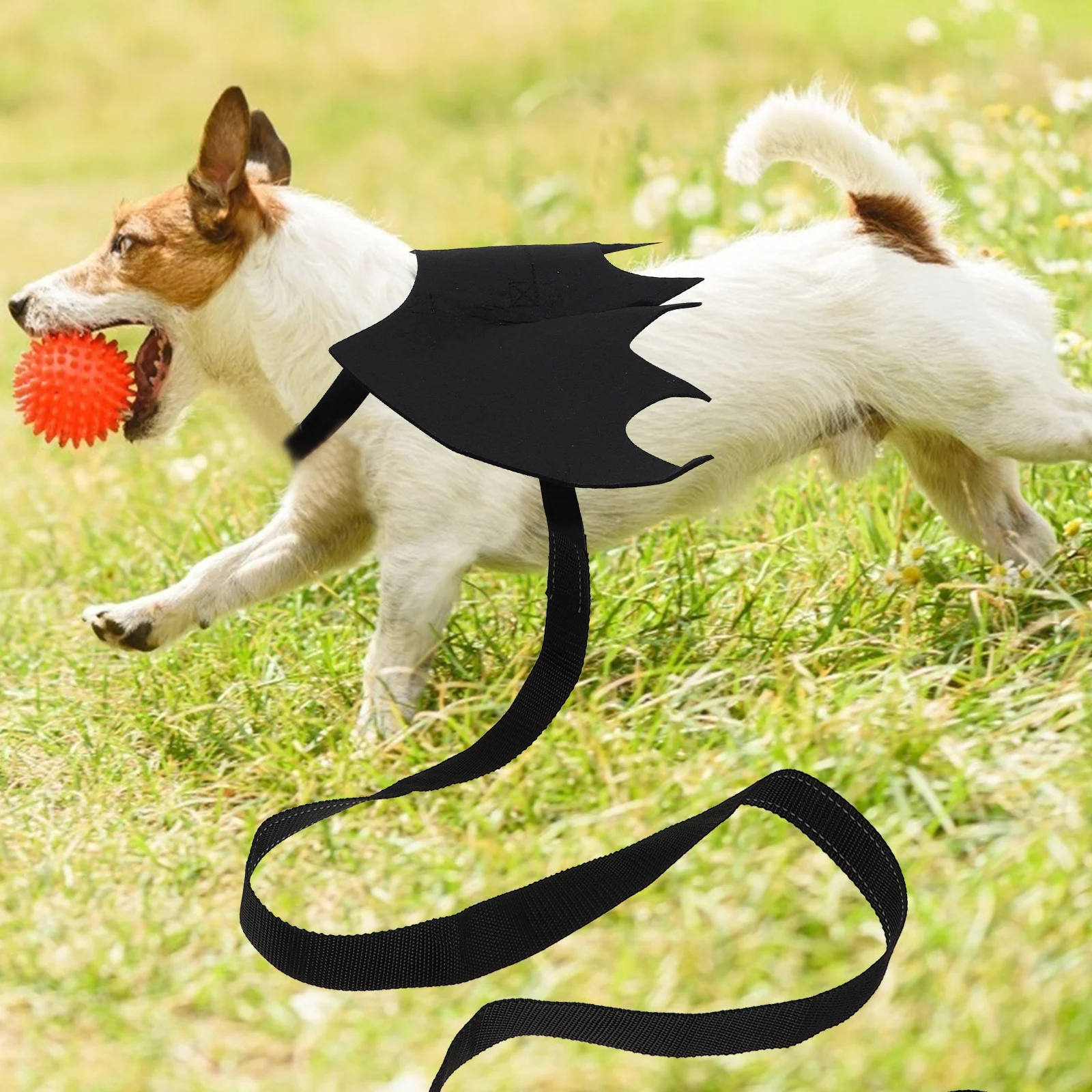 

1Set Halloween Bat Wing Pet Leash Cat Chest Strap Adjustable Lightweight Safety Belt for Running Hiking Outdoors