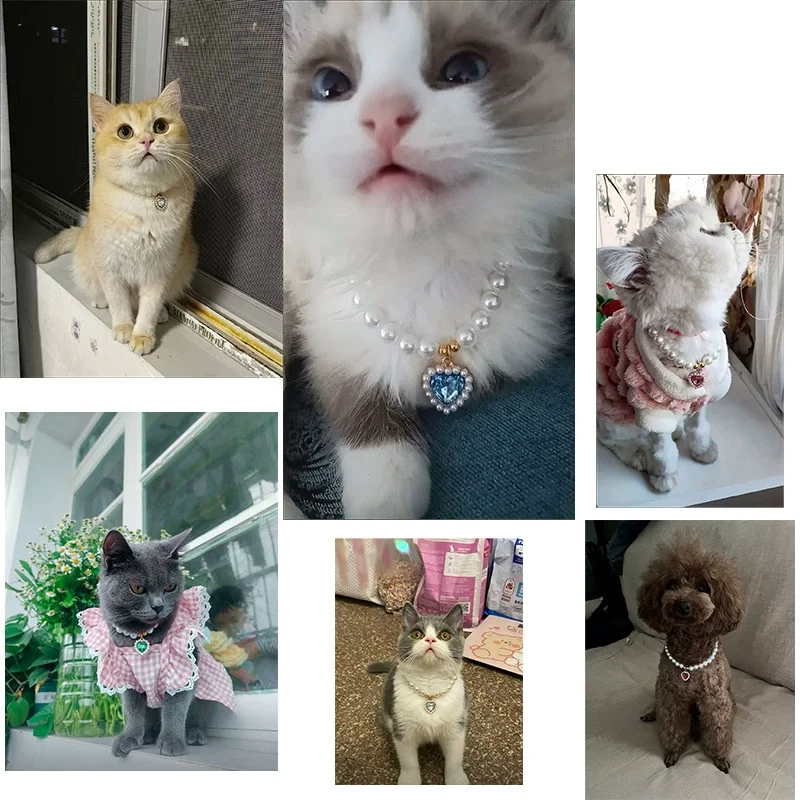 Neue Nette Exquisite Einstellbare Katze Kragen Hohe Simulation Perlen Sommer Haustier Halskette Mode Hals Dekoration Lieferungen Für Kätzchen – Detail 4