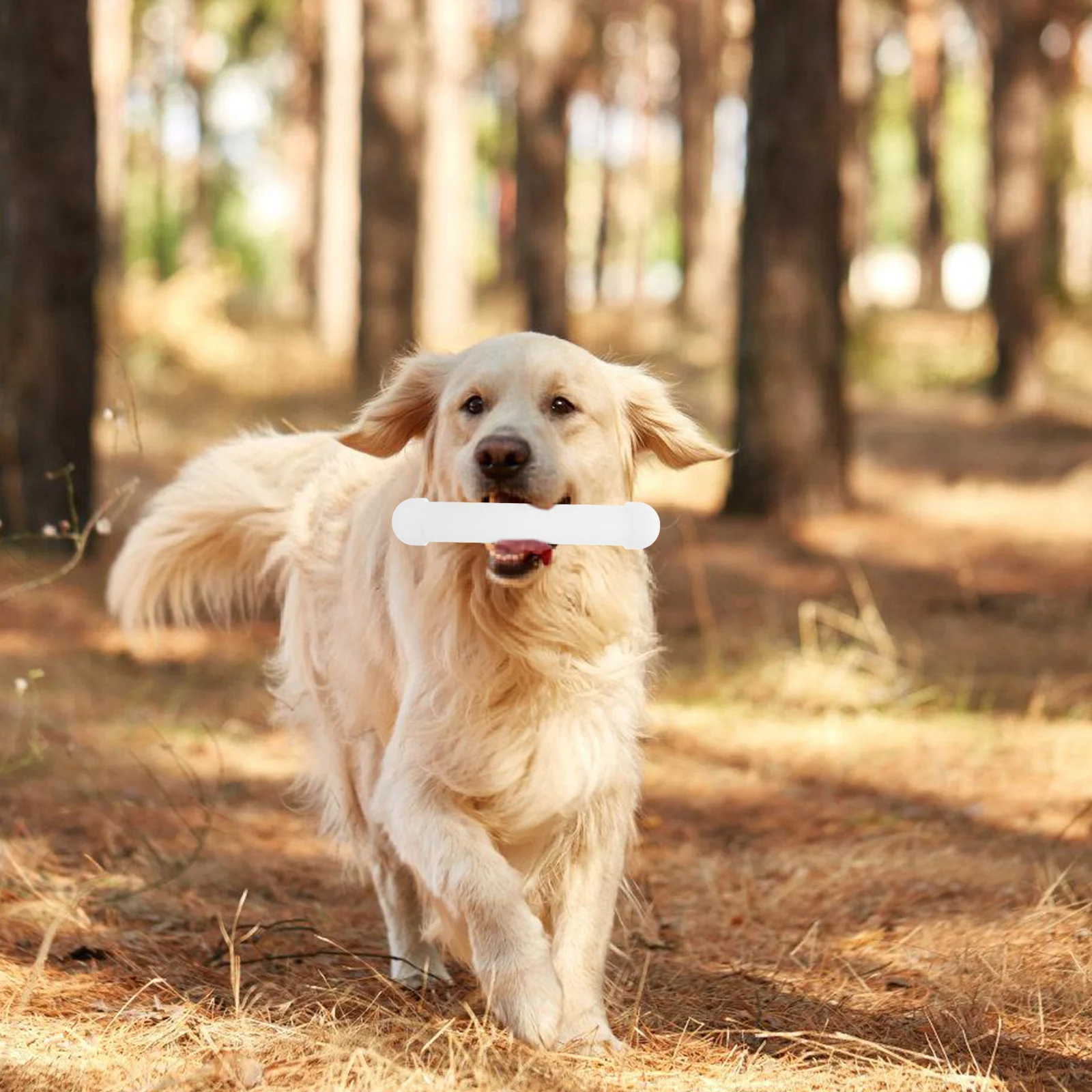 

Dog Scent Training Stick High Efficiency Nose Work Tool for Dog Agility Scent Detection Training Kit