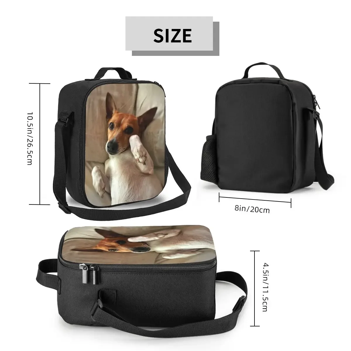 Funny Jack Russell Terrier Meme Insulated Lunch Bags for Camping Travel Dog Lover Leakproof Cooler Thermal Bento Box Women Kids