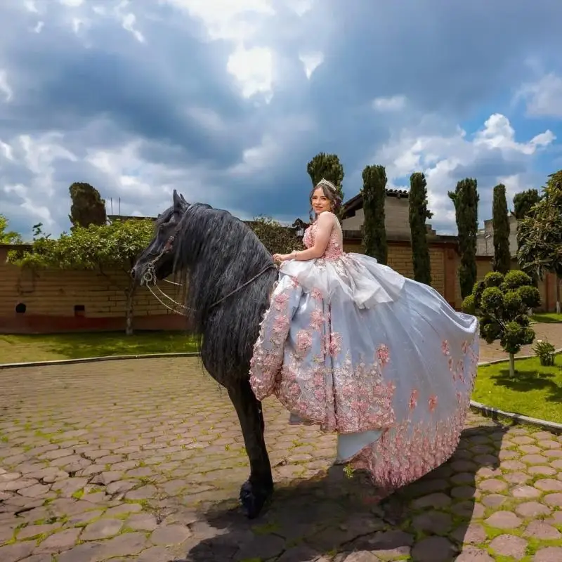 ที่กําหนดเองเด็กสีฟ้าสไตล์ Ball ชุด Quinceanera ชุดดอกไม้ลูกไม้ Appliques Lacing up Court รถไฟ 15 Ano Vestido