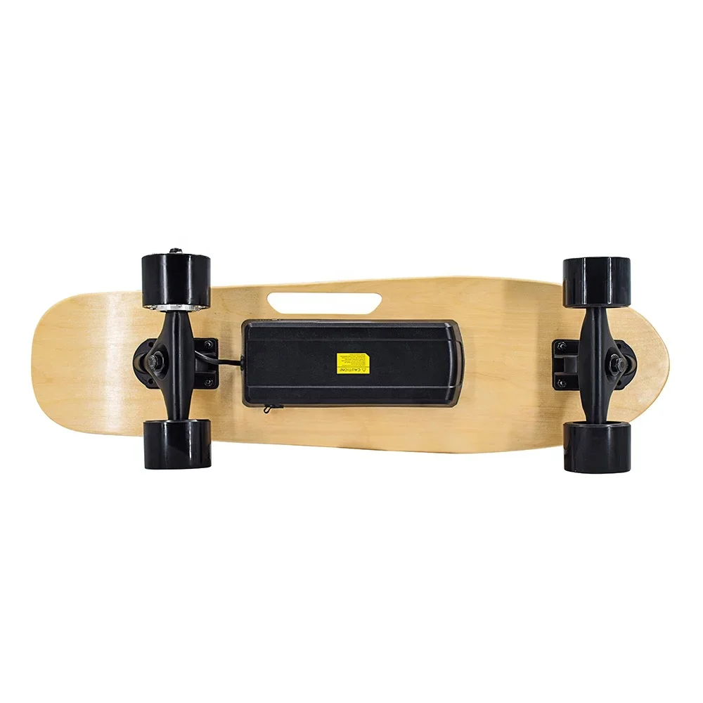 4 Wheel for Adults Small Fish Plate Boosted  Skate Board Remote Control Electric Skateboard