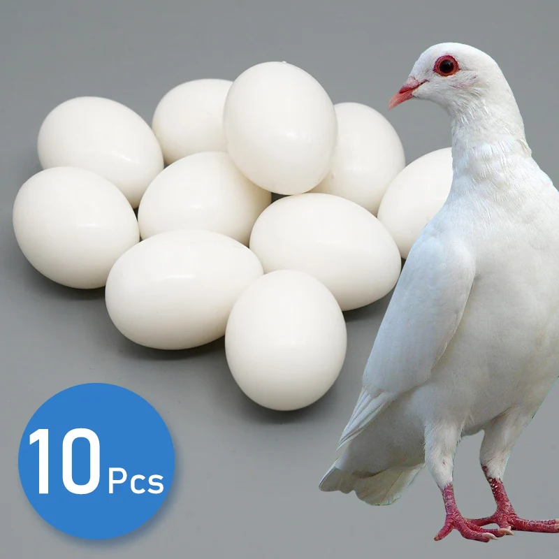 10Pcs White Solid Plastic Fake Pigeon Eggs Dummy Lifelike Fake Eggs For Hatching Supplies Training Tools