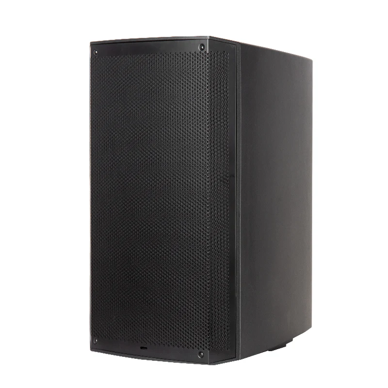 

900W Peak Portable PA Speaker With TWS Bluetooth & MP3 Player Lightweight Design For Outdoor Events & Parties