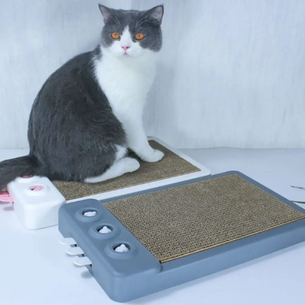 Unbreakable Cat Scratching Board Portable Replaceable Cat Scratcher Toy Two Sided Pet Training Supplies Grinding Claws