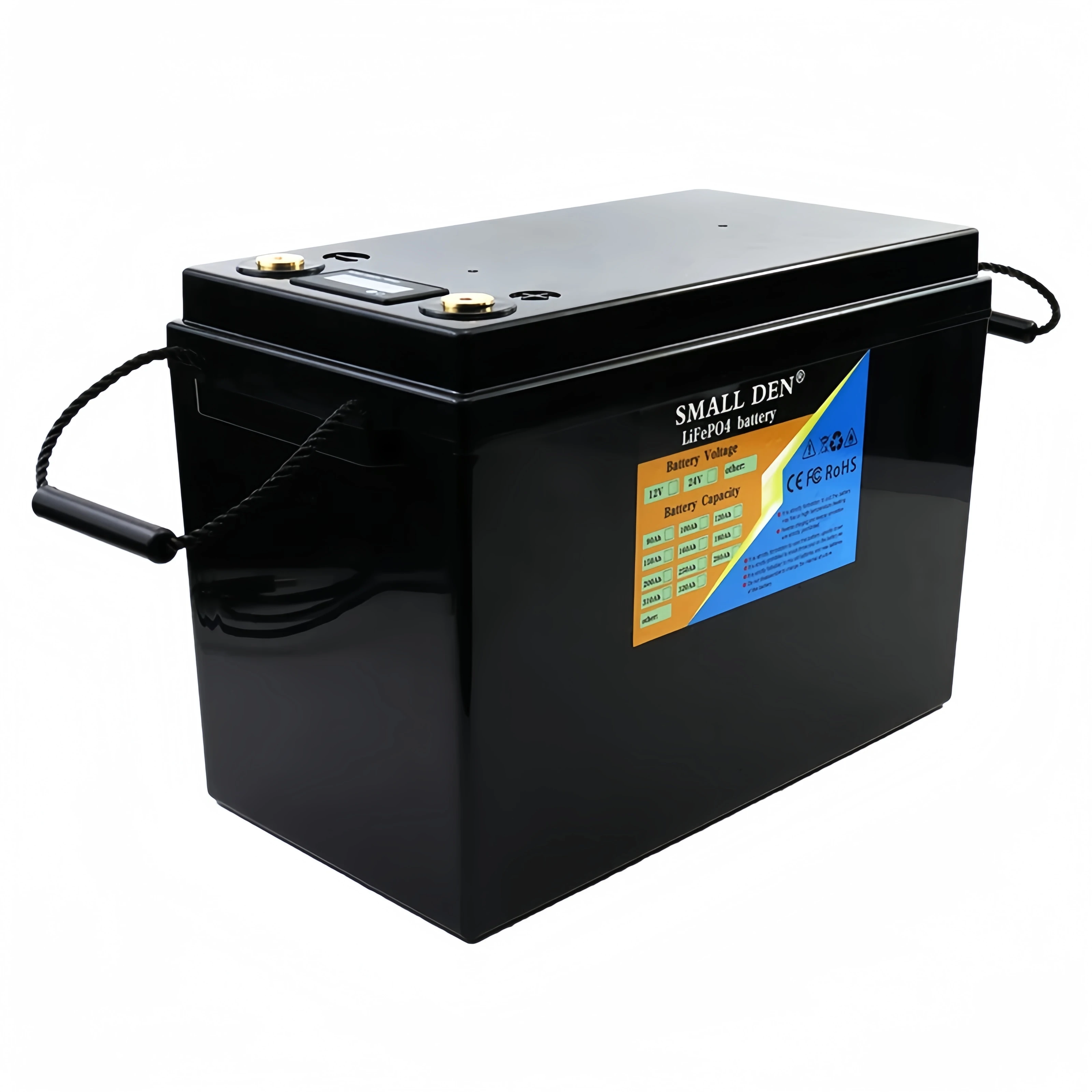 24V 100Ah Lifepo4 pacco batteria 2500W carrello elevatore motore di accumulo solare ad alta potenza per barca elettrica RV golf cart BMS + 29.2 v10a