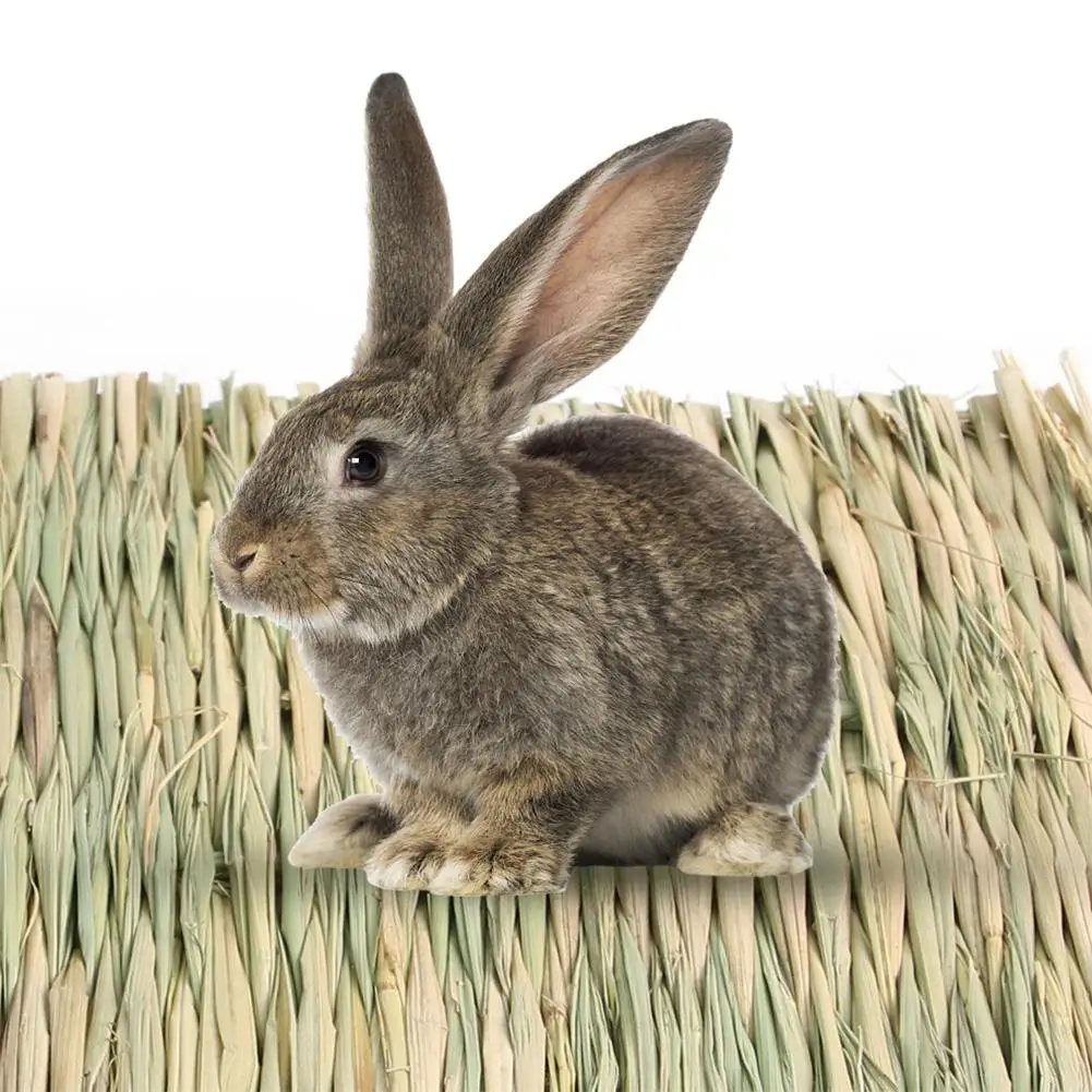 Esteras de césped tejidas a mano para hámster, Chinchilla Natural para hámster, conejillo de indias, pollos y loros