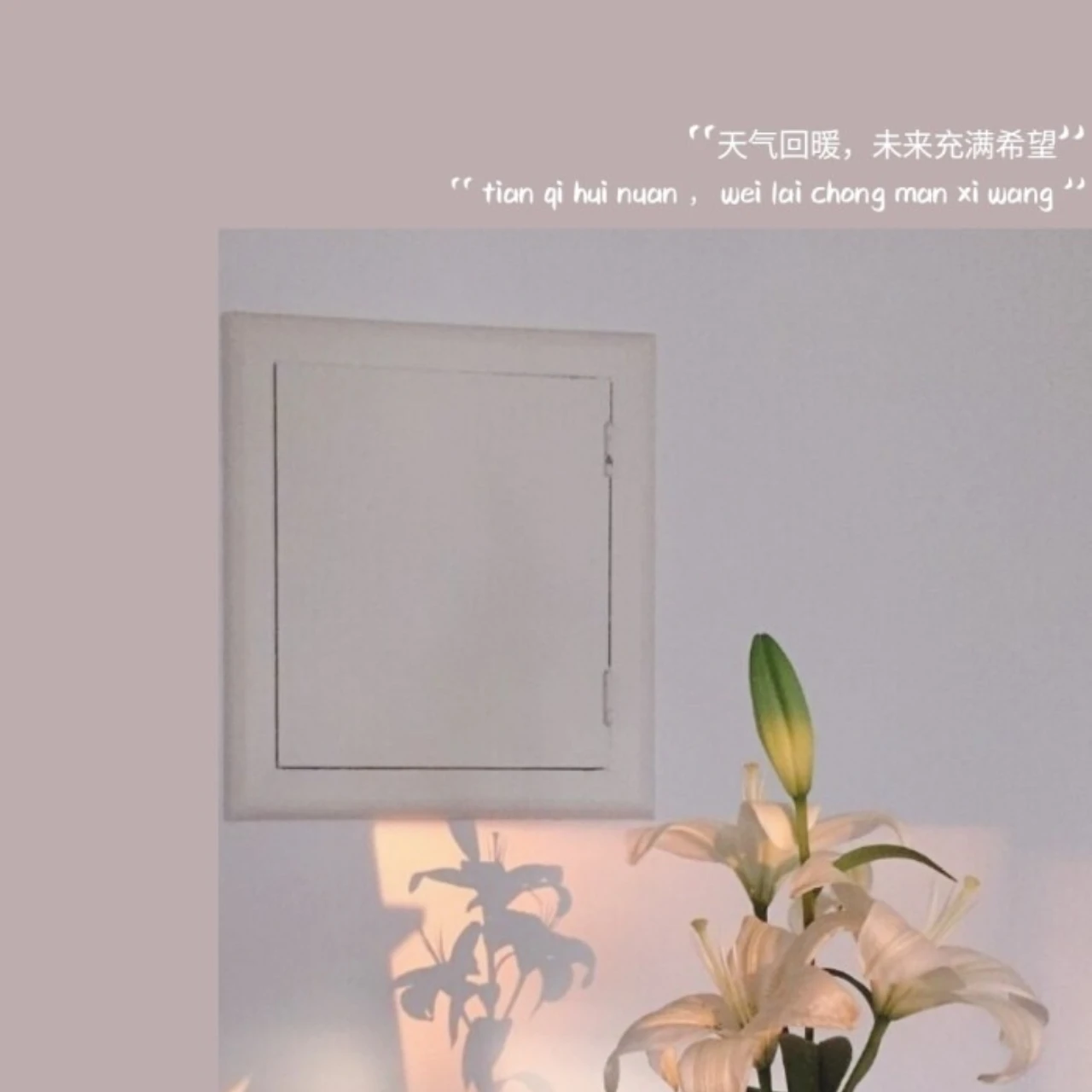 

Задние нижние рычаги из сплава GPM и крышка рычага подвески из углеродного волокна для саньев 1/8 9533 + 9534 + 9634