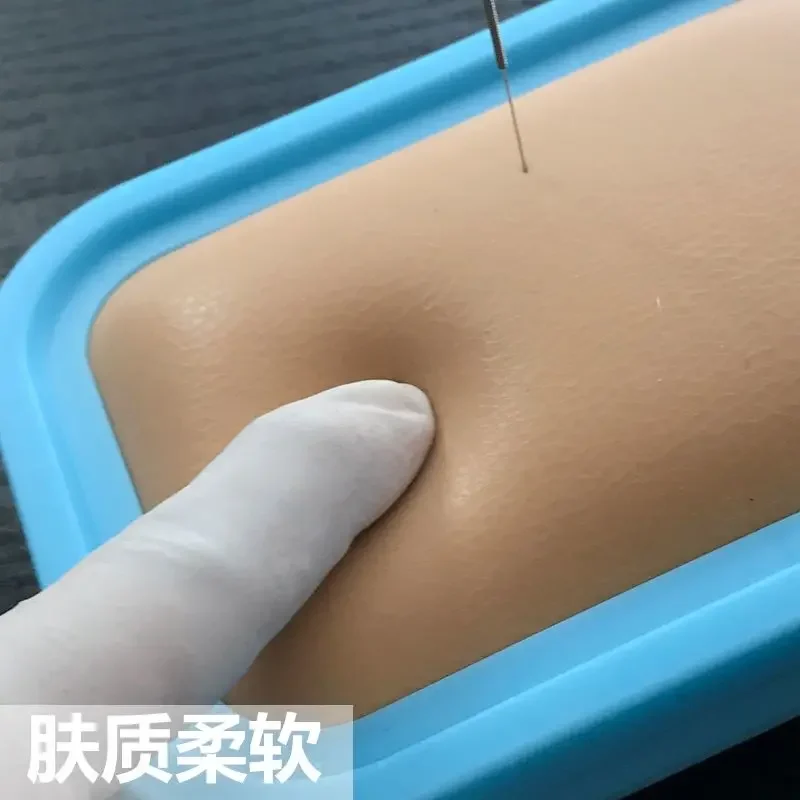 Acupuncture and moxibustion Exercise Package Human Acupoint Teaching Acupuncture Package Primary Skin Model B