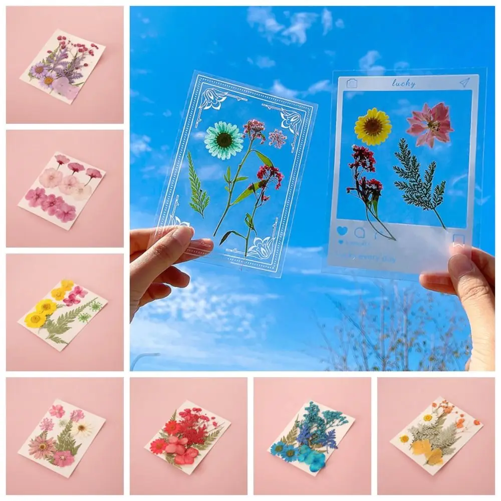 DIY Materials DIY Dried Flower Bookmarks Pressed Flower Handmade Dried Flower Stickers Transparent Herbarium