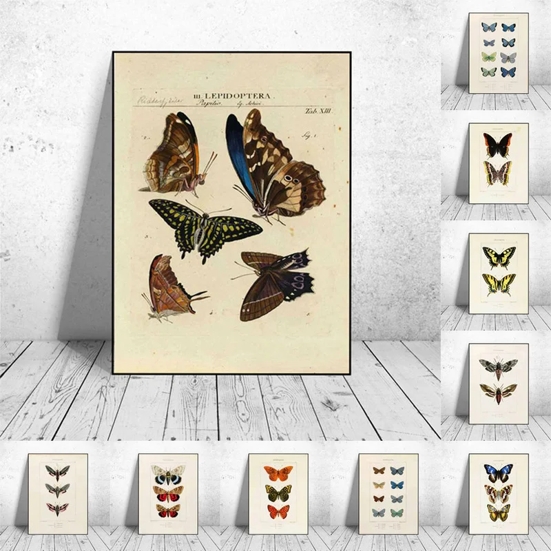 Abstract Nordic Retro Animals Art Canvas Painting Butterfly Insect Evolution Posters and Prints Wall Art Pictures for Home Decor