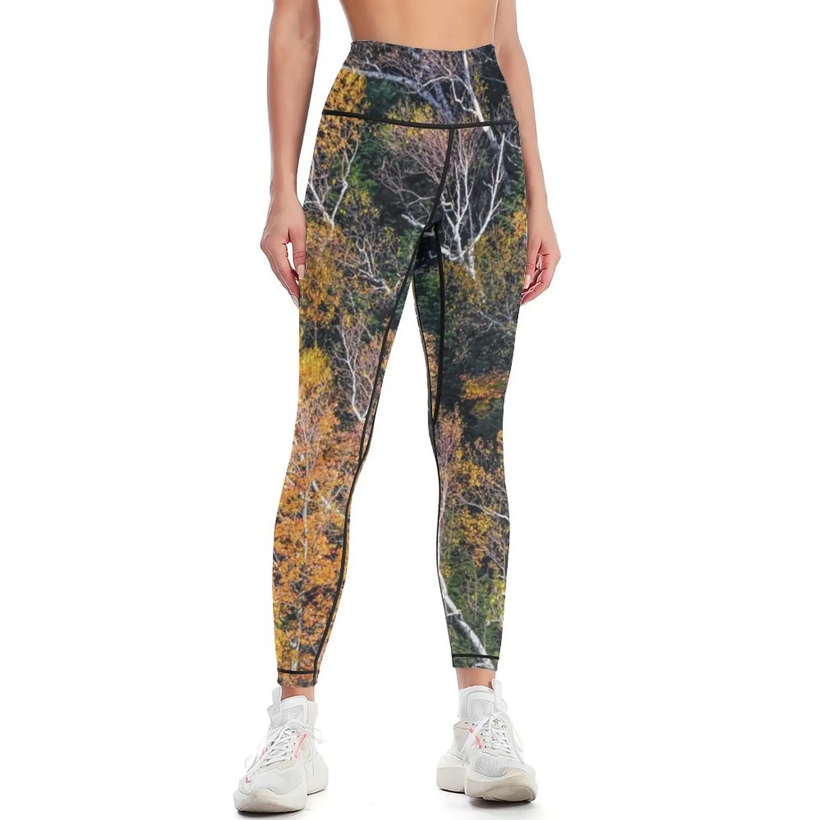 

Thatcher Park Late Fall Leggings gym clothing Tight fitting woman sports for jogging pants Womens Leggings