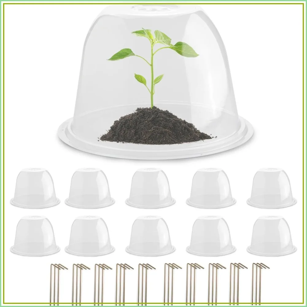 

Clear Plant Cloches 10-Pack: Durable Garden Protectors from Animals & Frost, Mini Greenhouse for Pots