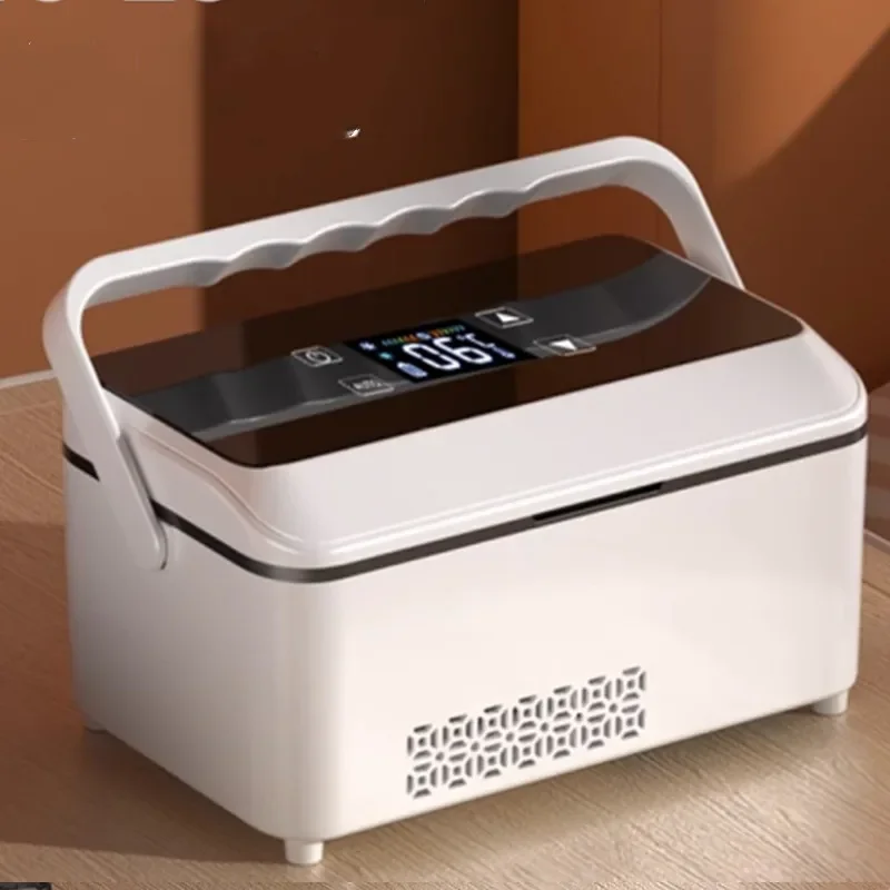 Portable Insulin Freezer Small Mini Mini Refrigerator Car Home Charging Medicine Freezer Special