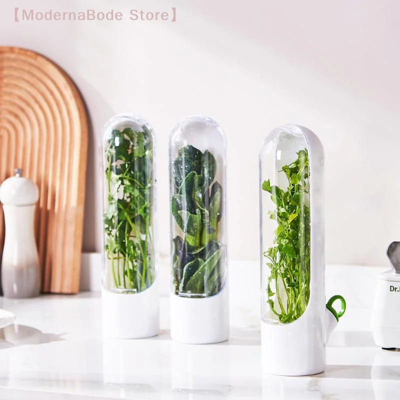 【M】1PC Herb Saver Storage Cont - Herb Keeper Container recension och pris