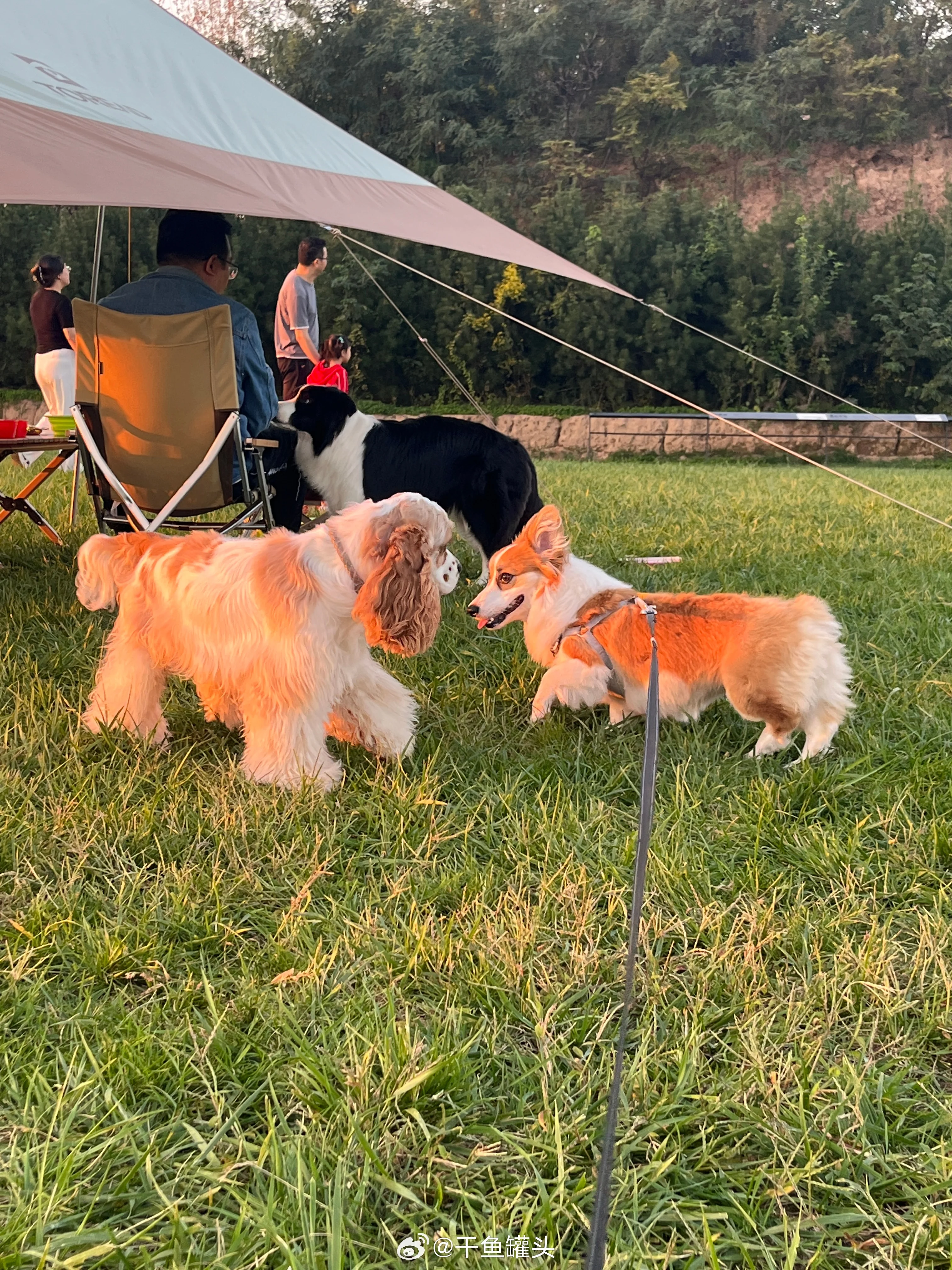 Universal Steering …