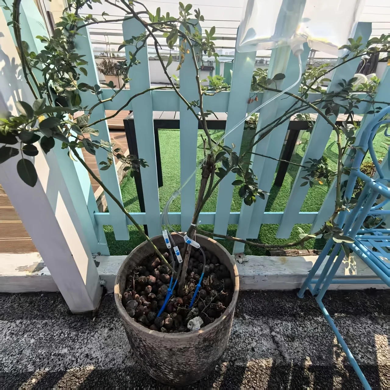 Automatic Watering Dripper,Adj - огляд і ціна Urban Farming System