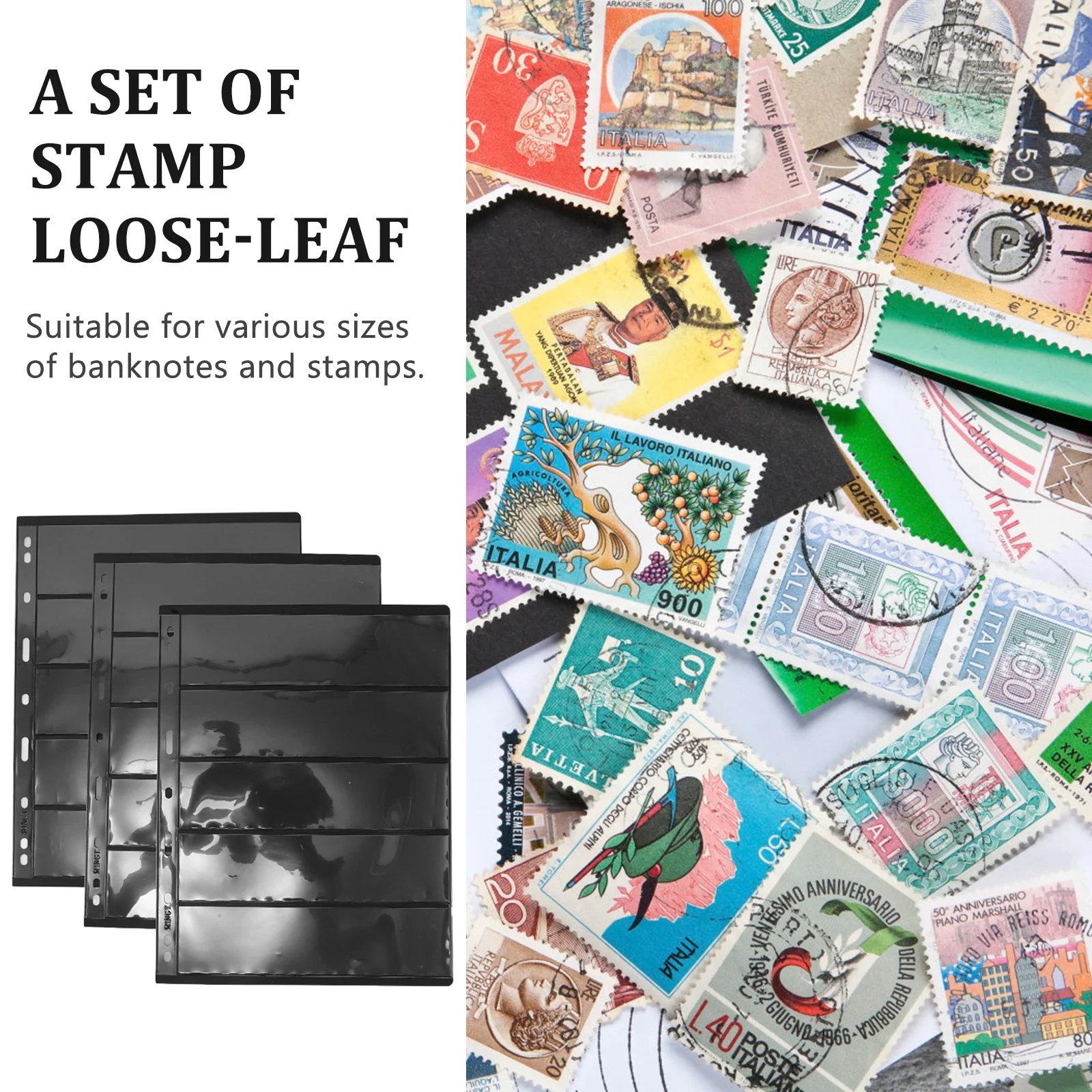 10 أوراق ألبوم ختم الموثق عملة جمع صفحات جامع تخزين الموثق ختم عملة ألبوم عبوات حامي عرض ورقة