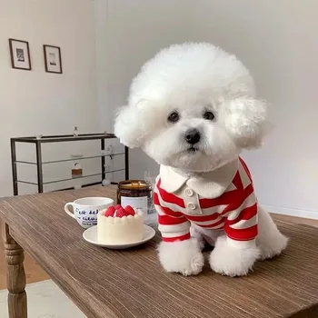 Striped Summer Dog Polo 4