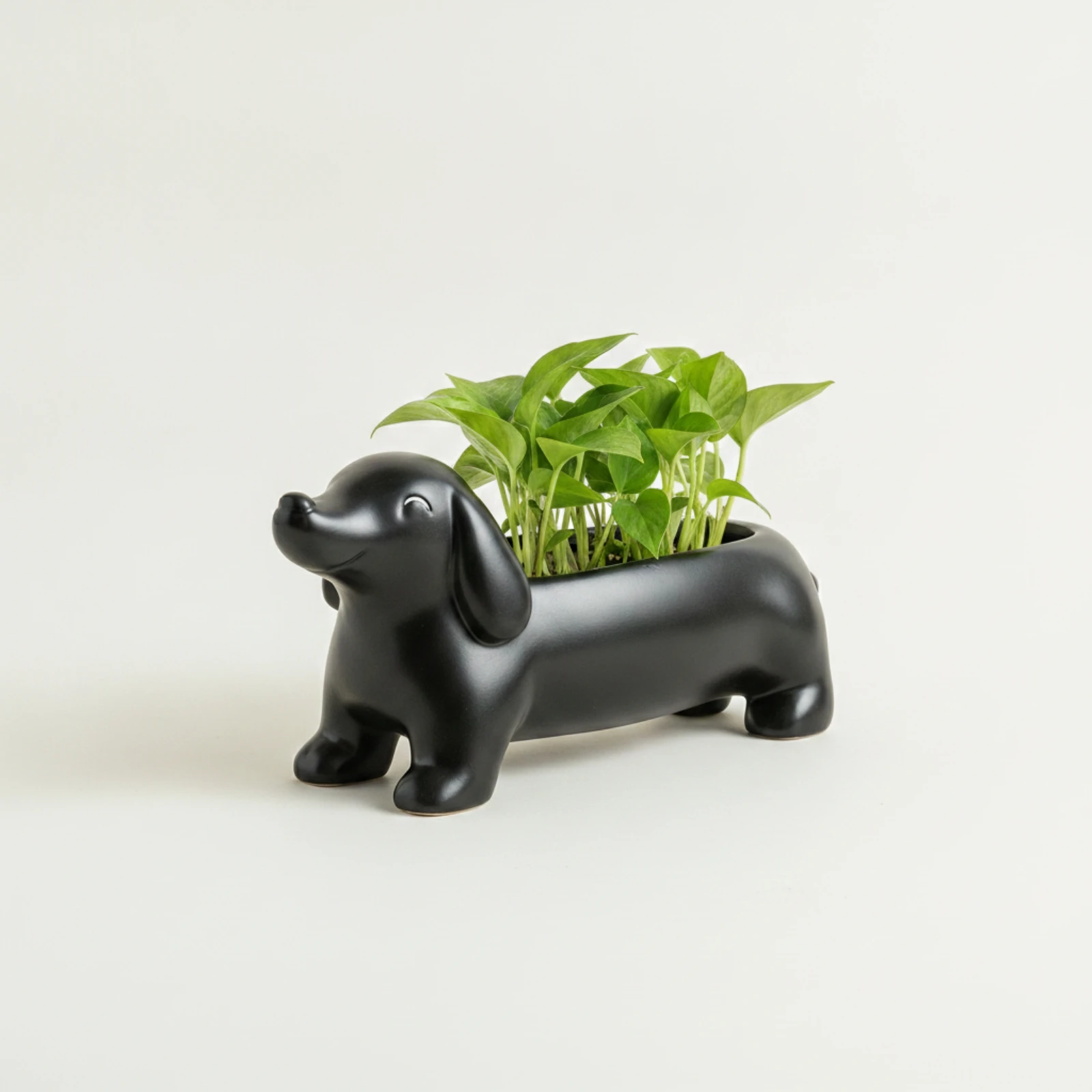 Dachshund Planter Lightweight Dachshund Plant Pot Dog-Shaped Planter Creative Low-Profile for Desk, Shelf