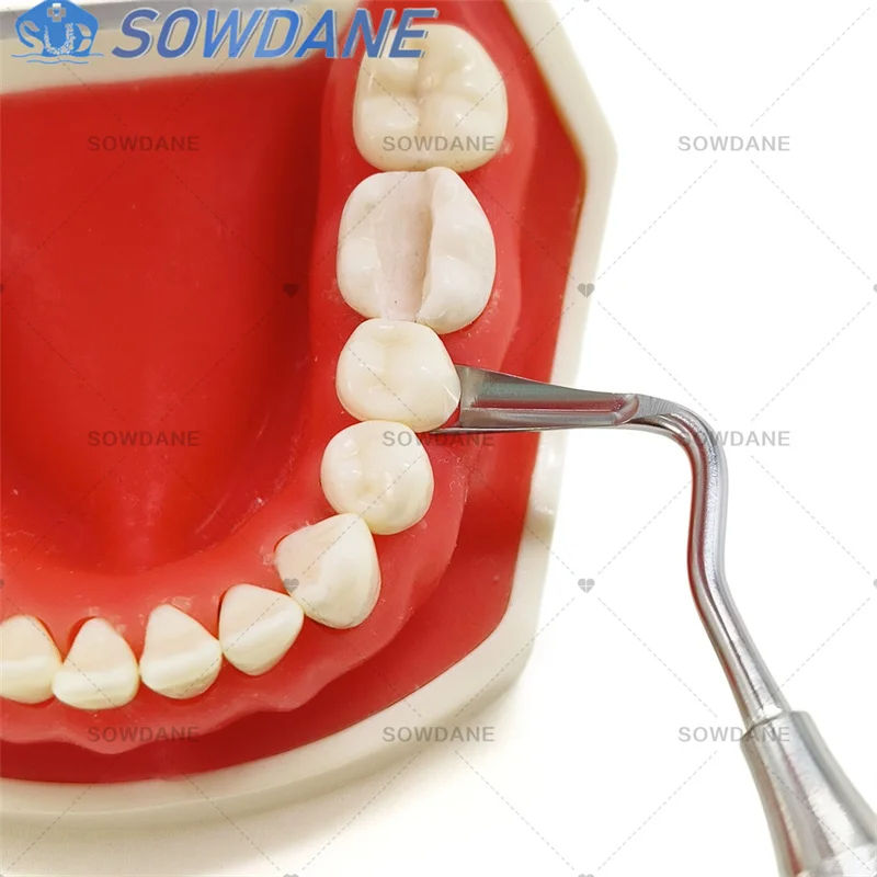 Dental Implant Gingival Retraction Gingival Retractor Dental Gum Separator Isolation Surgical Tool Double Ends Stainless Steel
