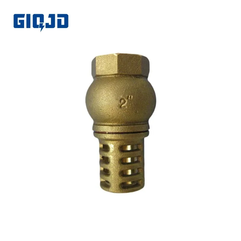 

2 "1/2" BSP с внутренней резьбой, латунный обратный клапан, сетчатый фильтр, ножной клапан, нижний клапан, предотвращающий обратный поток