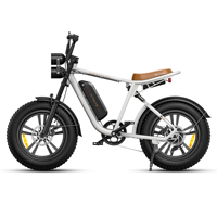 20“ Fat Tire Electric Bicycle Off-Road Ebike 48v/13ah Removable Battery Electric Mountain Bike 7 Speed Men & Women