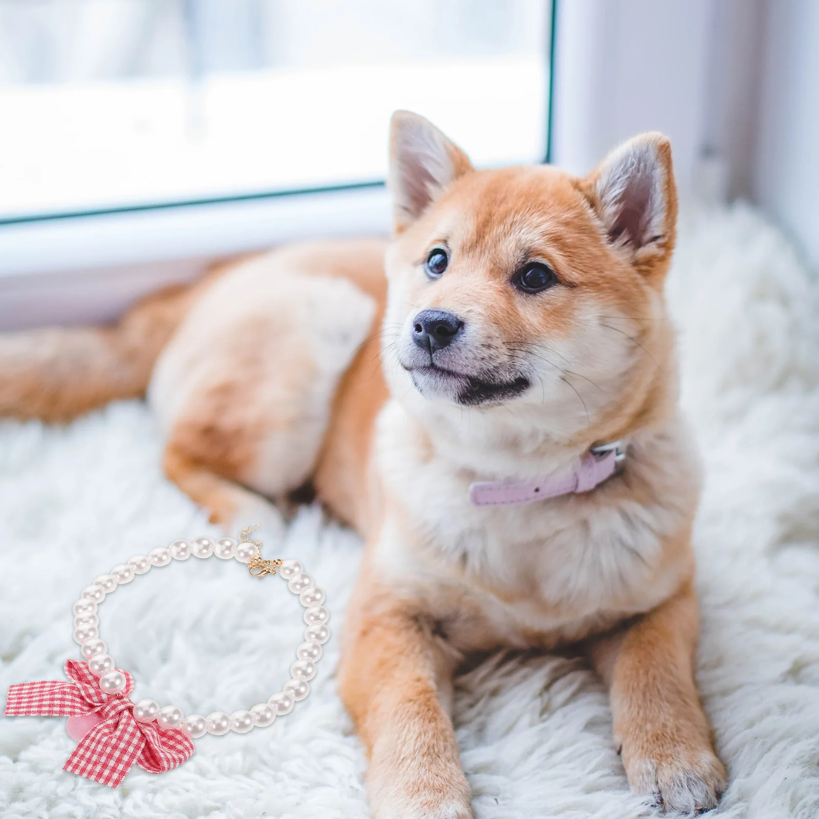 

Cute Pet Collar for Small Dogs and Cats Faux Pearl Beaded Necklace Adjustable Comfortable Wedding Party Accessory