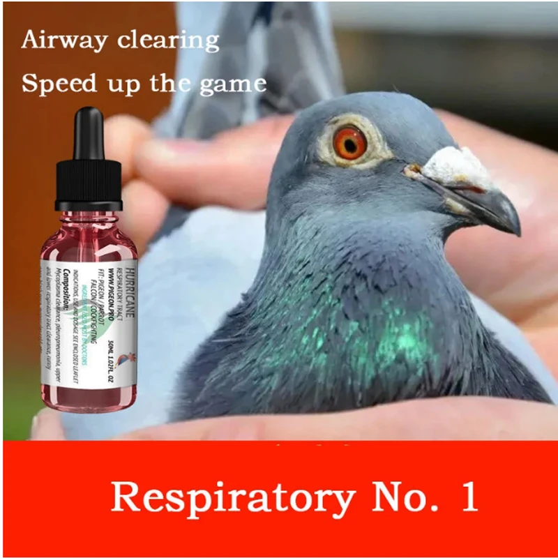 Respiratory Tract No. 1 Racing Pigeon Removes Mucus In The Respiratory Tract, Breathes The Nose and Speeds Up The Race