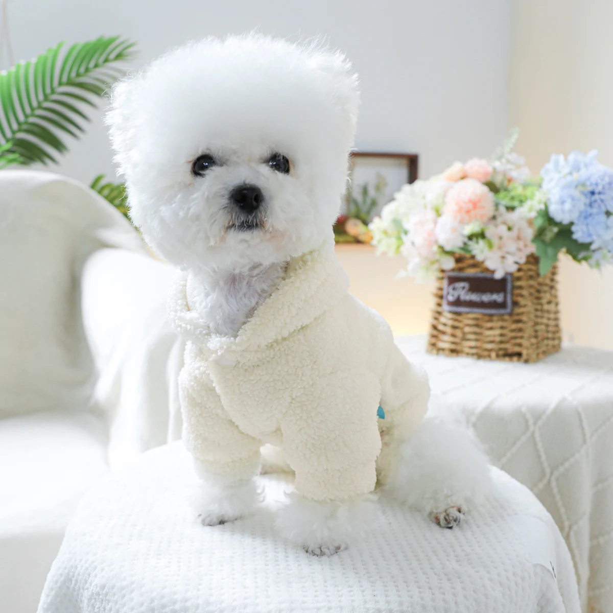 1PC Pet Clothing Autumn/Winter White Velvet Thick Little Guy Hat Coat Suitable for Small and Medium sized Dogs