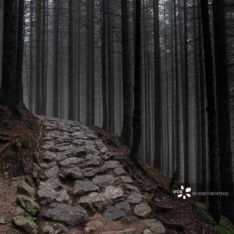 

HolyBro Tekko32 F4 Mini 50A 4-in-1 ESC for 4-6S LiPo RC FPV Racing Drone Pilots High Power Compact Design