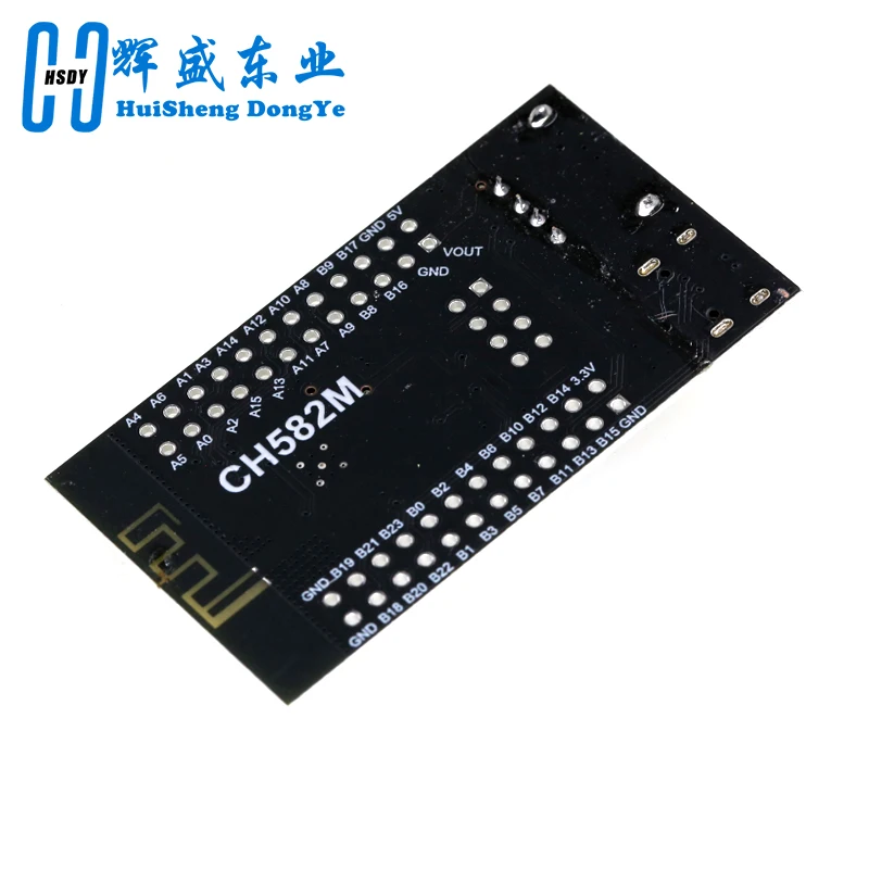 Immagine 6: Scheda di sviluppo CH582M Scheda centrale BLE Microcontrollore Bluetooth wireless MCU Bluetooth a basso consumo Doppio USB