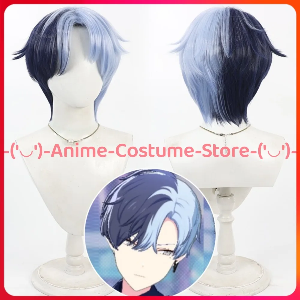 

Project Sekai Aoyagi Toya Cosplay Wig Anime Game Character Halloween Carnival Party Costume Wigs Heat Resistant Synthetic Hair