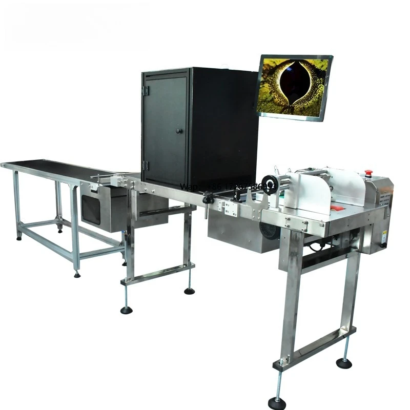 Inline Visual Inspection System for Printing Quality, Label Position & Package Deformation
