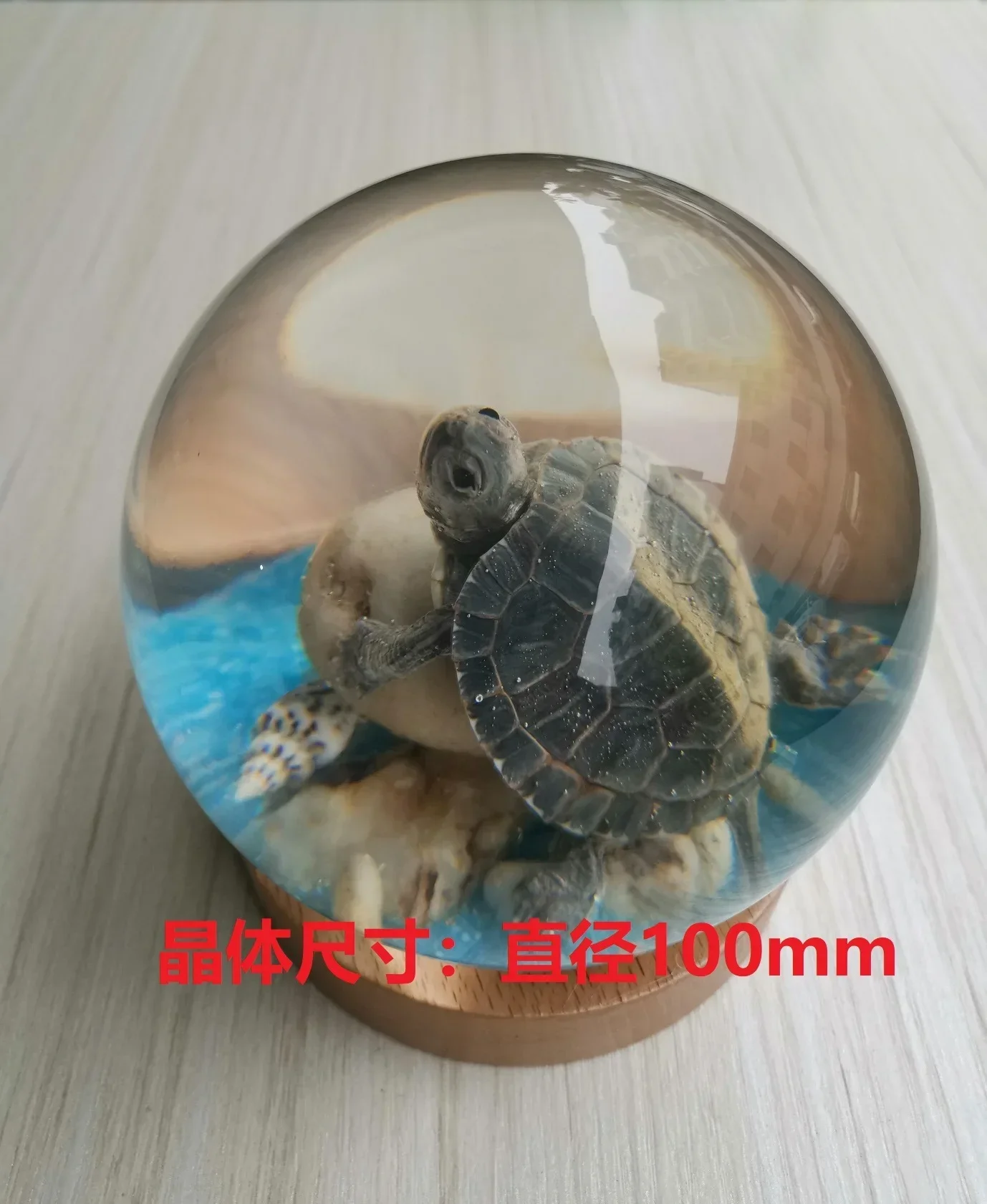 SOURCE Supply Children's Day Resin Epoxy Insect Spherical Specimen Real Scorpion Centipede Desktop Crafts Ornaments Sculpture