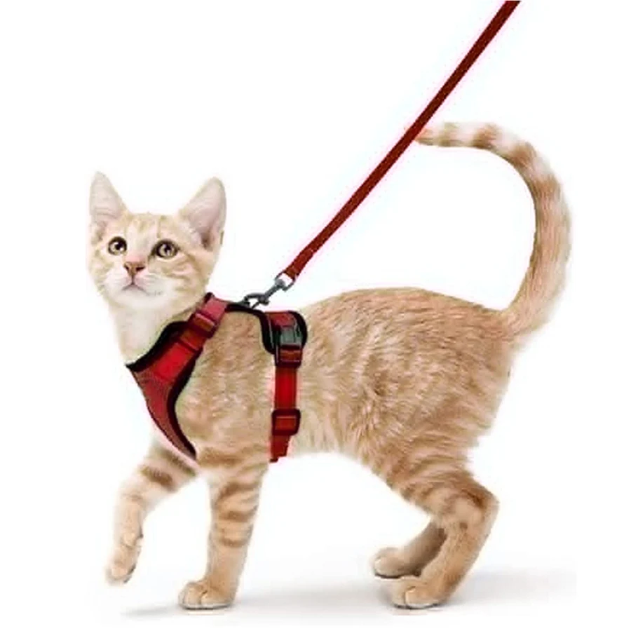 Katzengeschirr und Leine zum Spazierengehen, auslaufsichere, weiche, verstellbare Weste, Geschirre für Katzen, EasyControl