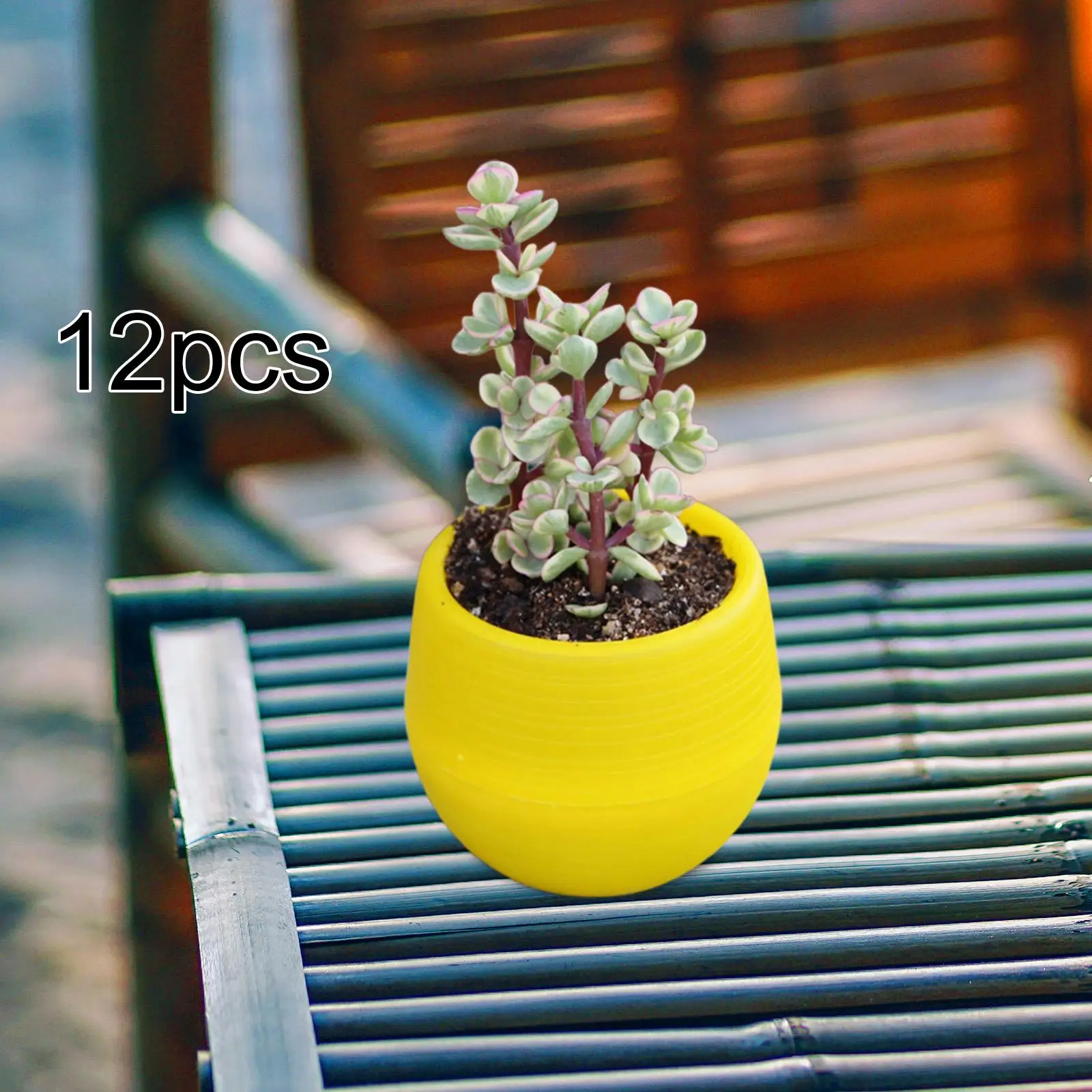 12 Pieces Small Flower Pots Planters Multifunctional Flowerpots Containers for