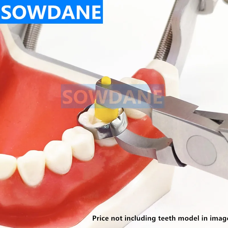 Dental ortodontico Ortho Band removal Tool Band Remover pinza dentale ortodontica pinza dentista rimuovi strumento strumento
