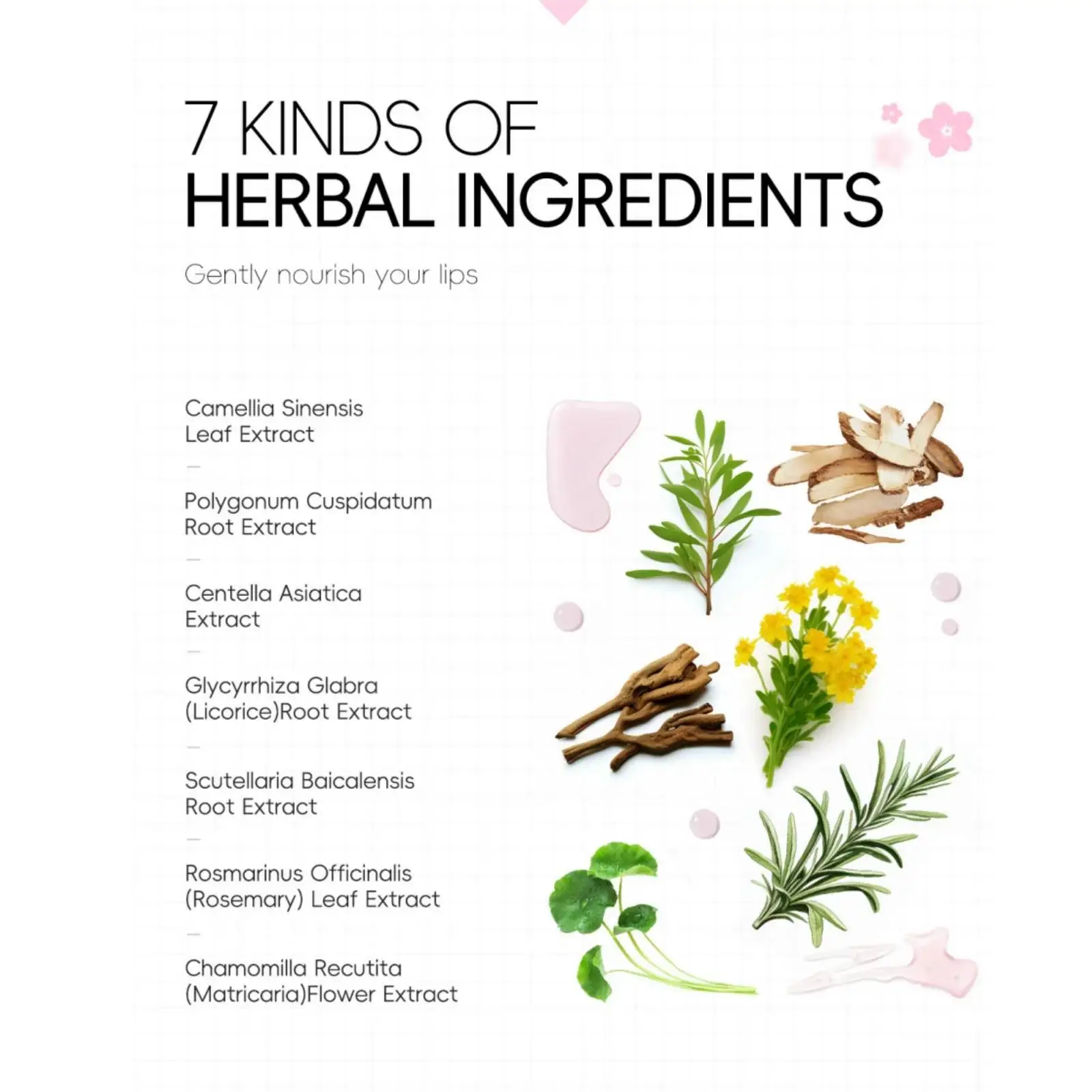 اليابان ساكورا الكولاجين قناع الشفاه ترطيب علاج ممتلئ لإصلاح الشفاه الجافة هلام منصات الرعاية الليلية الأساسية