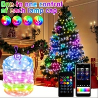 LED Fairy Light Phone App Remote Control WS2812B RGB LED String DIY Smart IC Addressable Dreamcolor Garden Party Christmas Decor