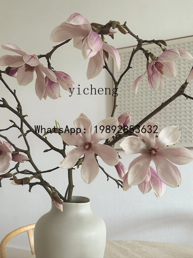 A30- Ceramic Vase Home Living Room Flower Arrangement Hydroponic Flower Holder Ornament