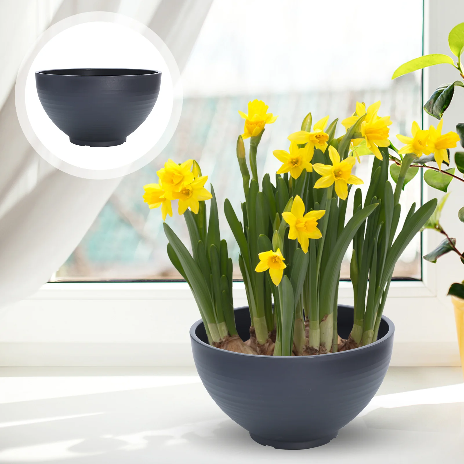 

Flower Pot Fish Farming Hydroponic Flowerpot Water Lily Bowl Container Plant Hydroponics Dark Grey Daffodils