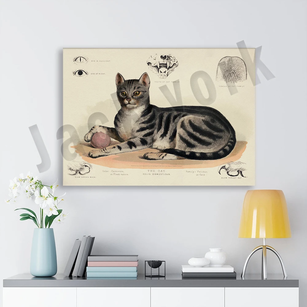 Vintage Cat Prints | Rustic Cat Wall Art Prints Decorative Posters, Great Gifts for Cat Lovers