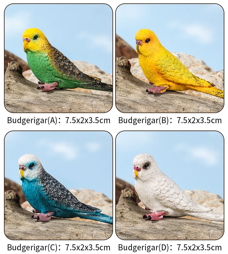 Realistische Vogelfiguren-Set - Papageien-Lernspielzeug für Kinder Simulierte Plastik-Tiermodelle Tierfiguren-Sammlung – Detail 7
