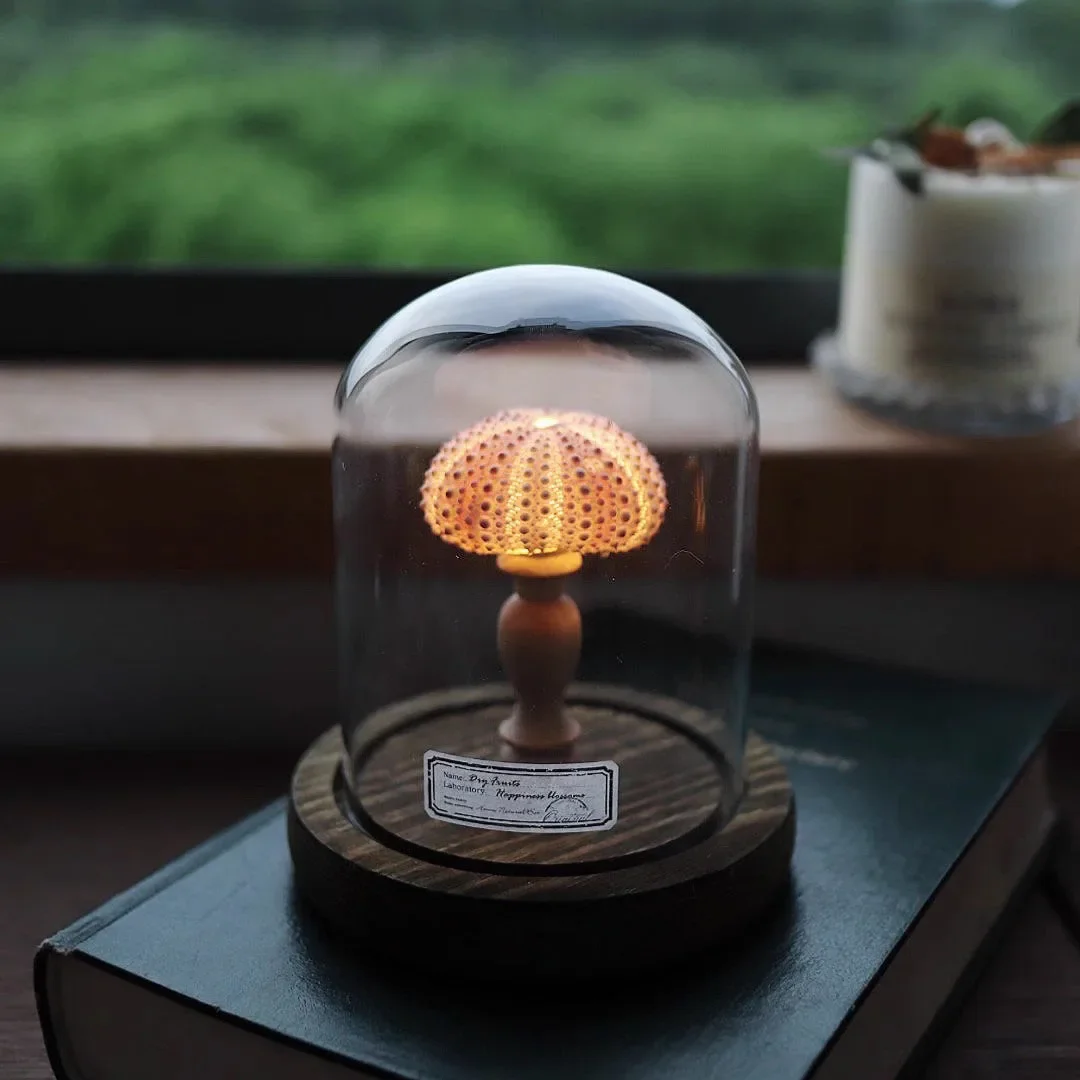Shell Sea Urchin Lamp Study Desk Conch Decoration Ornament Indoor Bedside Night Light Handmade Diy Material Package Holiday Gift - Image 3
