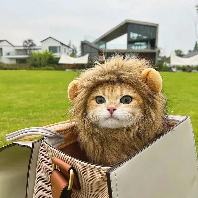 Pet Lion Mane Costume Wig With Ears, Funny Cat Dog Lion Wig, Halloween Christmas Cosplay Photo Props For Kitten Puppy