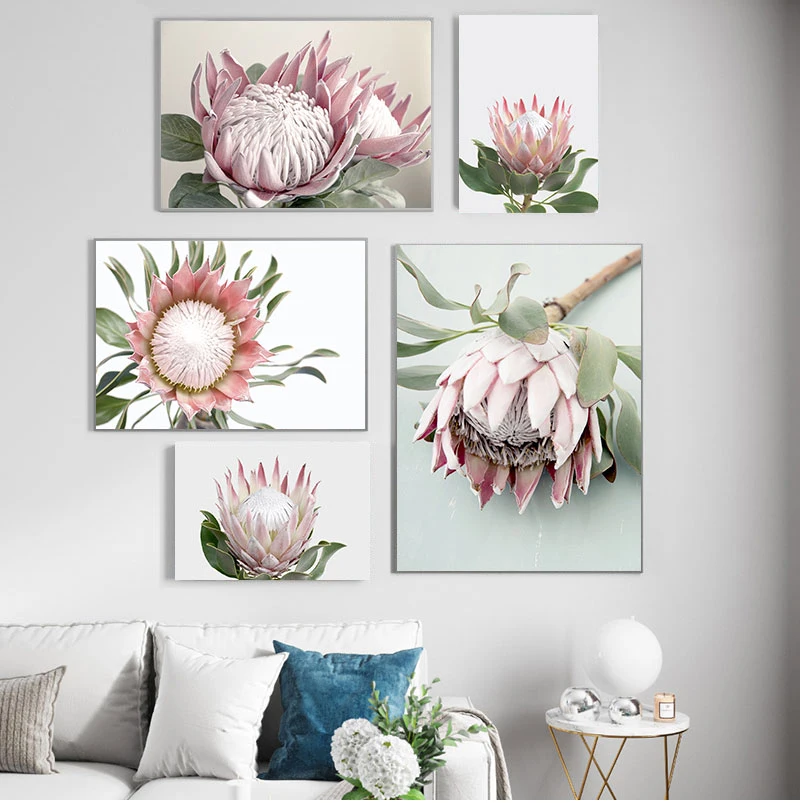 Protea King Flower Plant Picture Botanical Art Poster Nordic Floral Wall Art Canvas Print Painting Modern Living Room Decoration