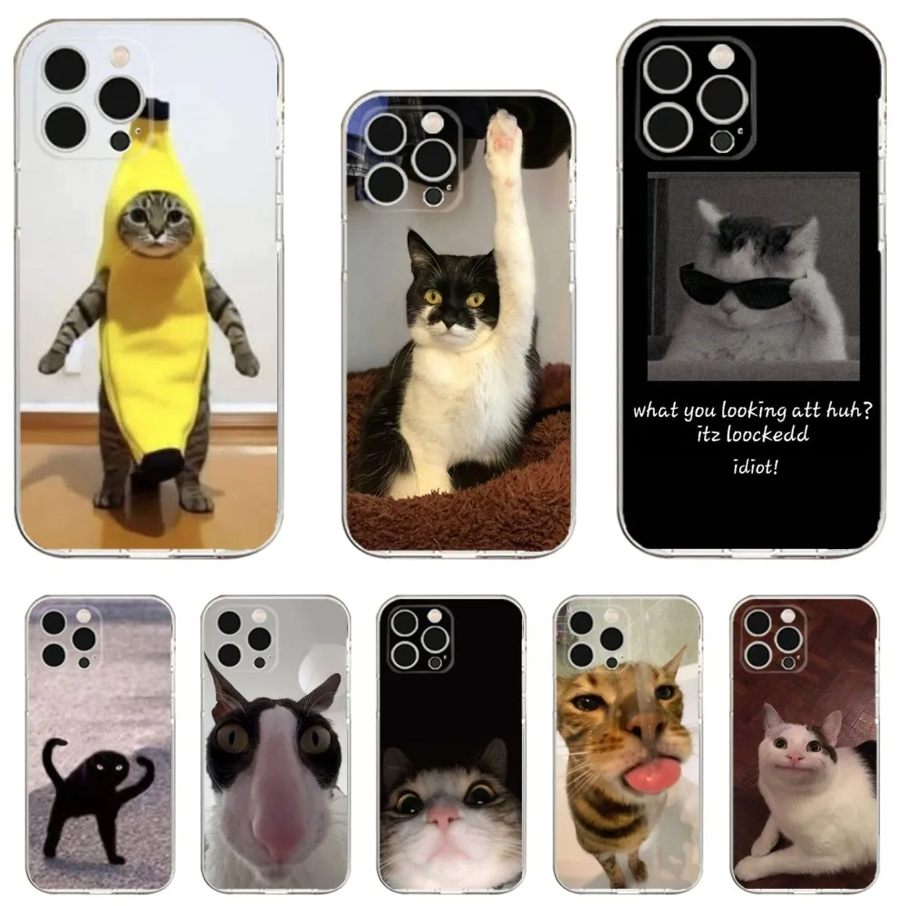 Cat Memes Phone Case For iPhone 16,15,14,13,12,11 Plus,Pro,Max,XR,XS,X,7,8 Plus,SE,Mini Transparent Shell