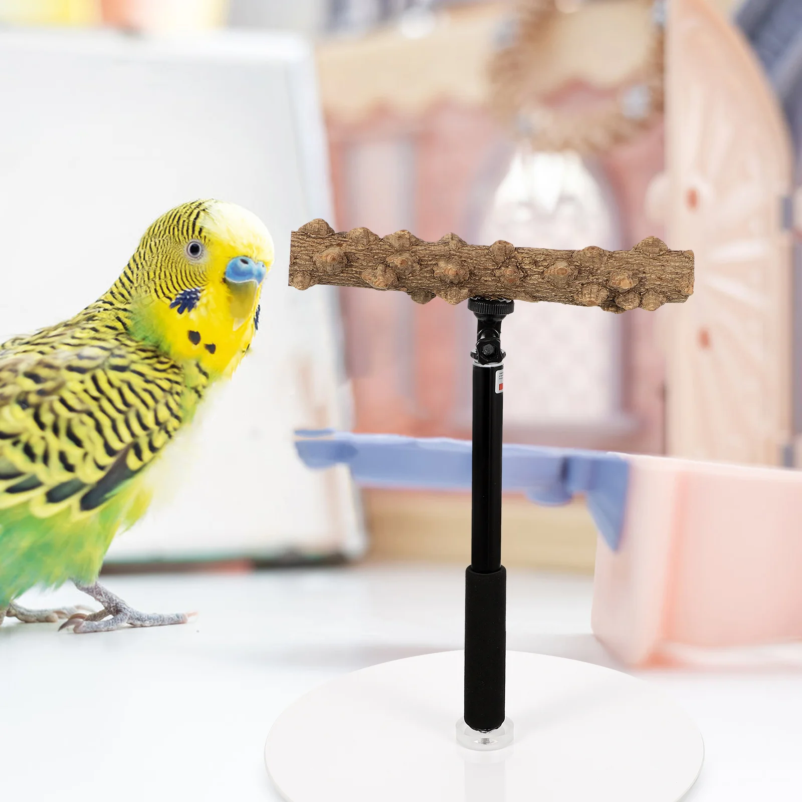 

Parrot Tree Branch Stand Stands Perch Parakeet Cage Accessories Bird Perches for Parakeets